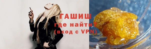 шишки Болотное