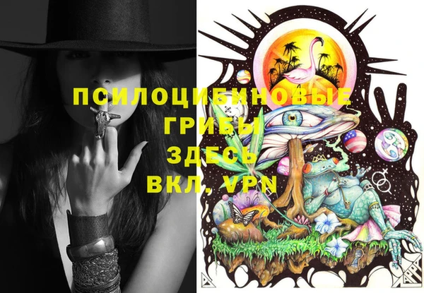 каннабис Новодвинск