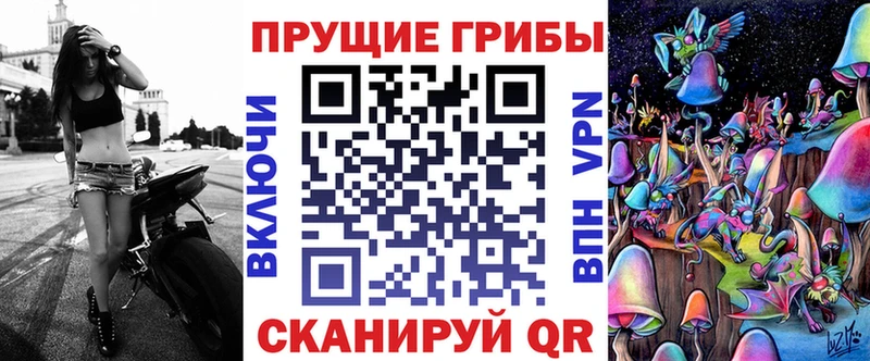Галлюциногенные грибы Psilocybine cubensis  Нягань 